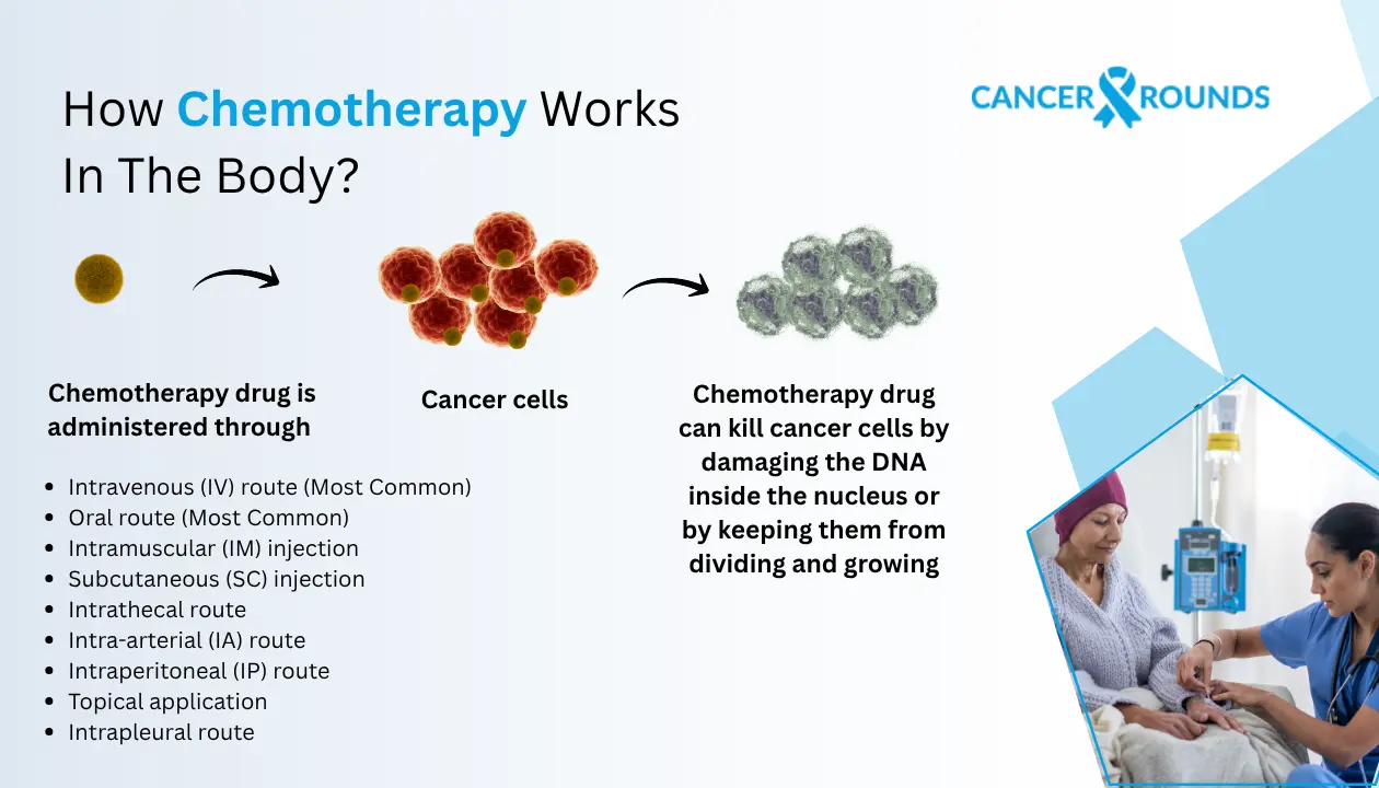 How Chemotherapy Works In The Body