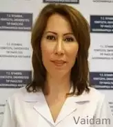 Prof. Ulku Figen Demir