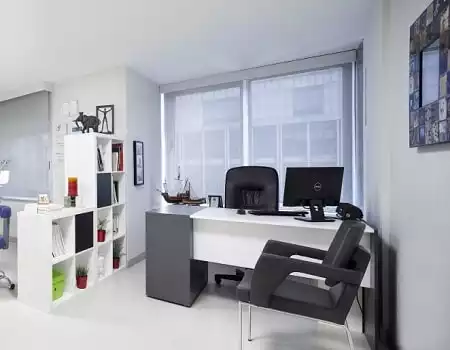 Istanbul Dental and Plastic & Esthetic Group (IPEG), Istanbul